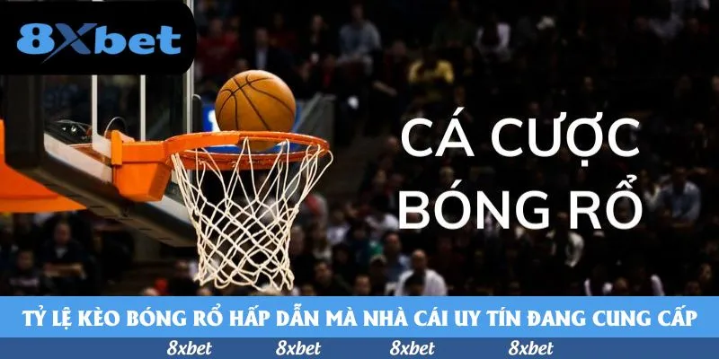 Tỷ lệ kèo bóng rổ hấp dẫn mà nhà cái uy tín đang cung cấp